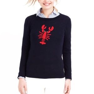 NEW! J. Crew Navy 100% Cotton Classic Lobster Teddie Sweater | XXS